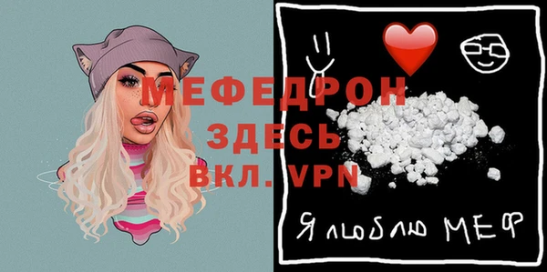 индика Белая Холуница