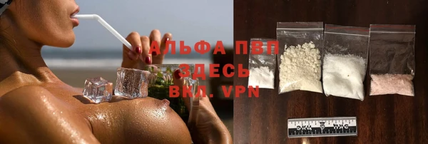 дурь Няндома