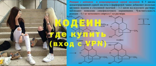 дурь Няндома