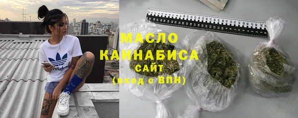 дурь Няндома